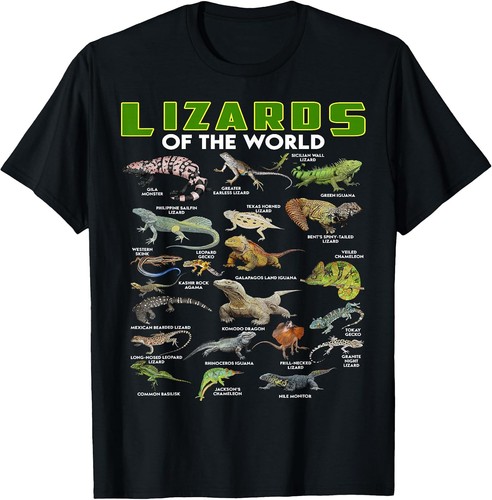 Lizards the world reptile - world,